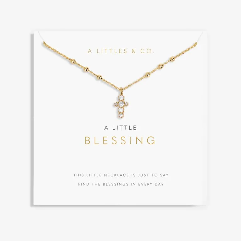 A LITTLE Blessing
