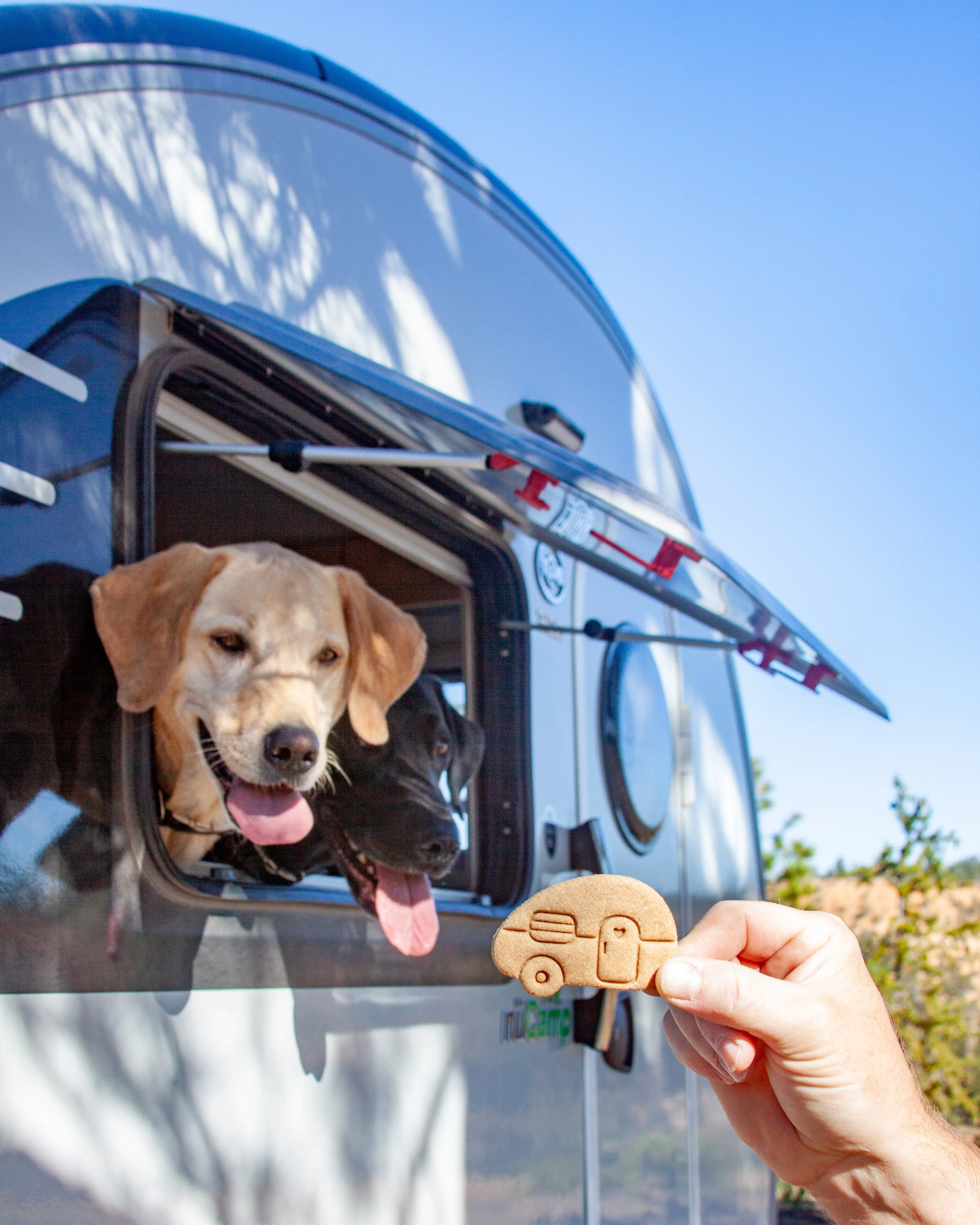 Camper Cookie Cutter BUNDLE