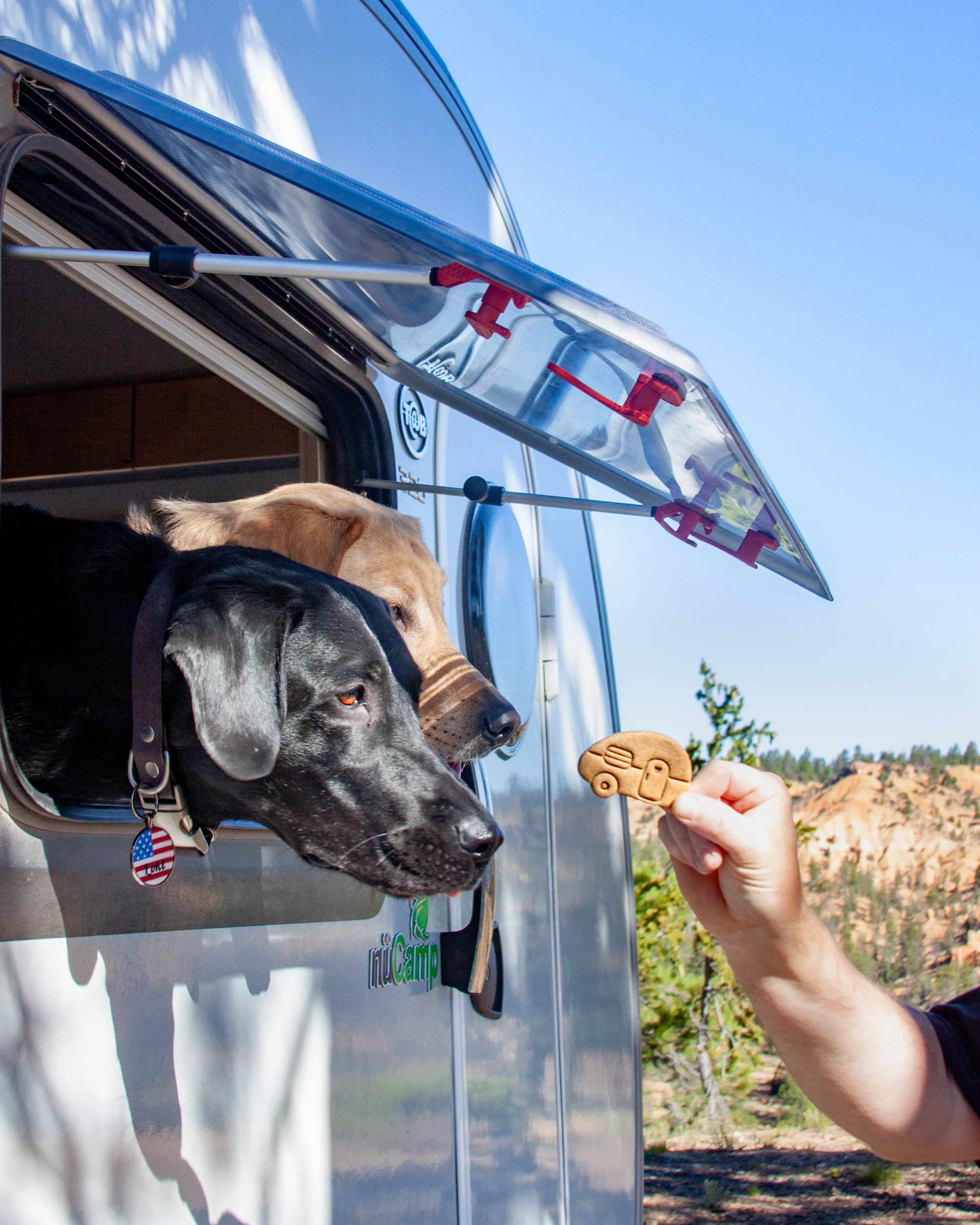 Camper Cookie Cutter BUNDLE