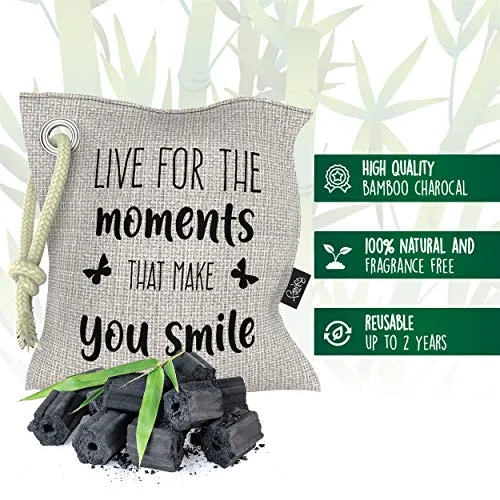 Charcoal Air Purifying Bags – Pack Of 4 Bags – Organic and Natural – Biodegradable – Non-Toxic and Reusable – Efficient Odor Absorbing Mechanism