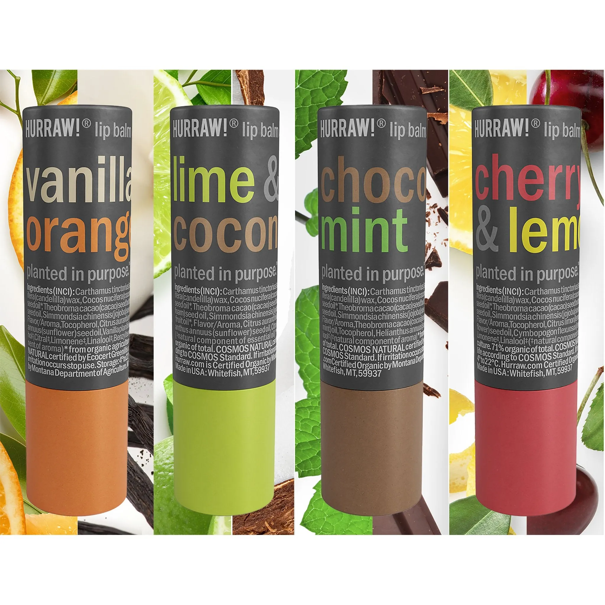 Choco & Mint Lip Balm
