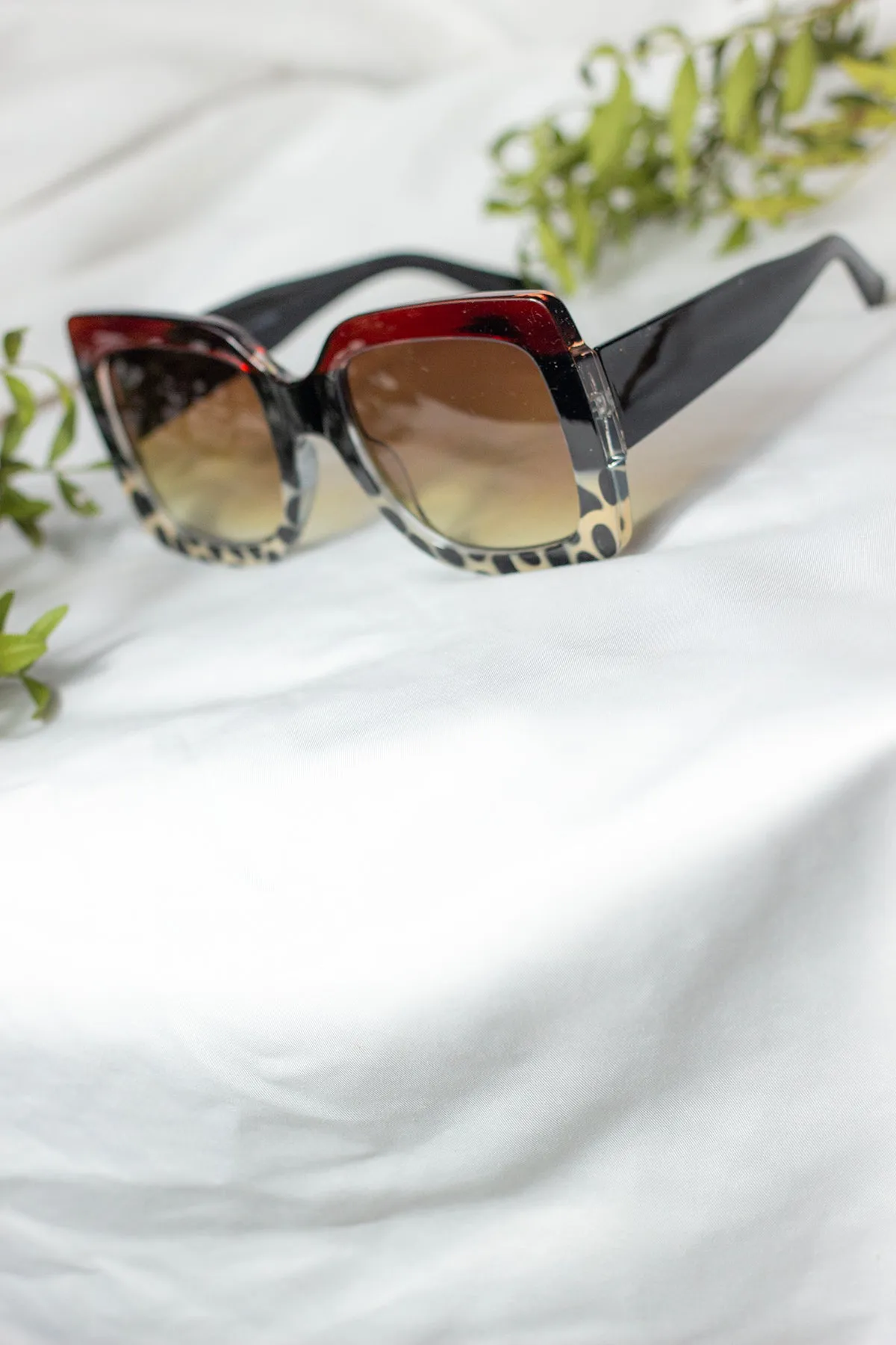 Chunky Oversized Statement Butterfly Sunglasses