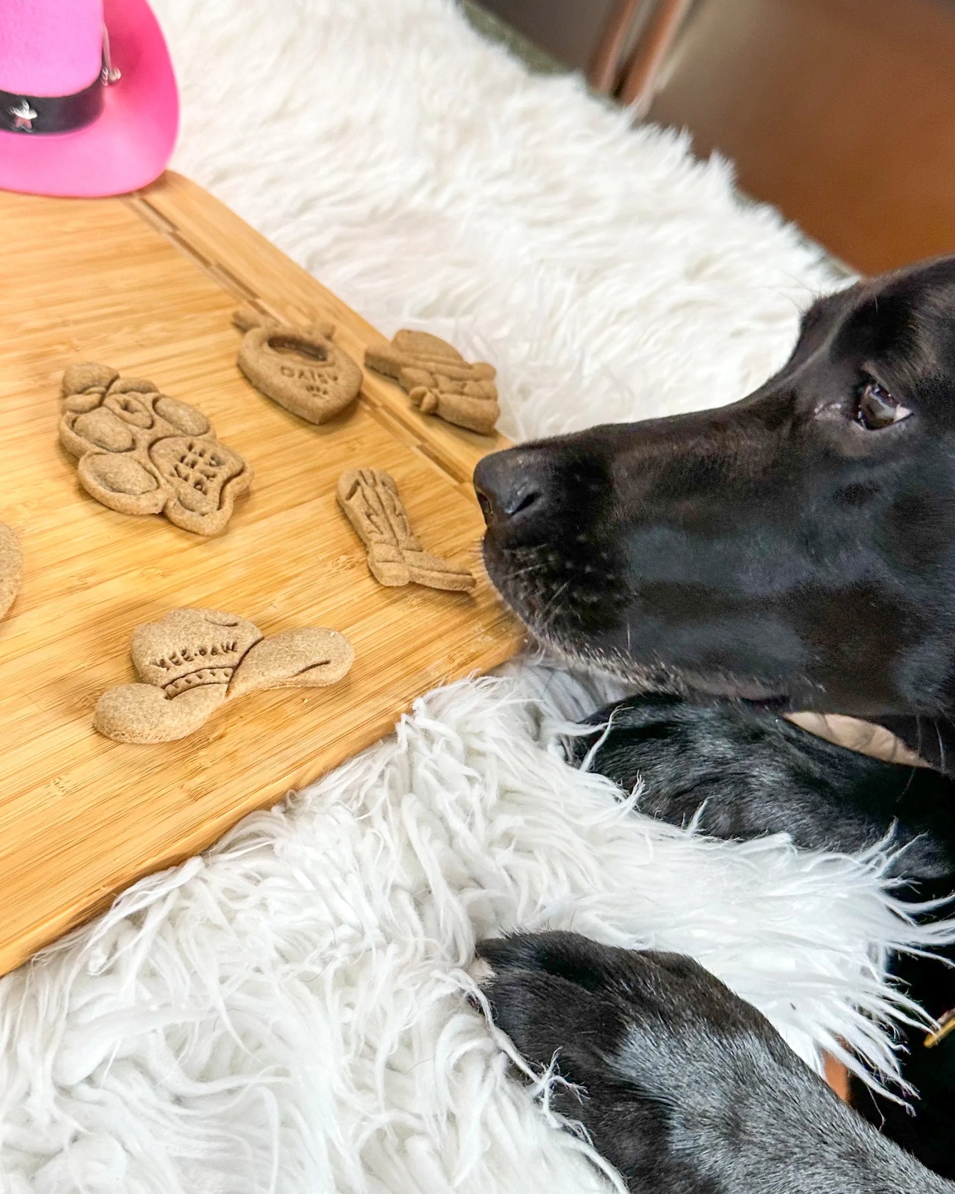 Cowboy Hat Cookie Cutter (Two Styles Available)