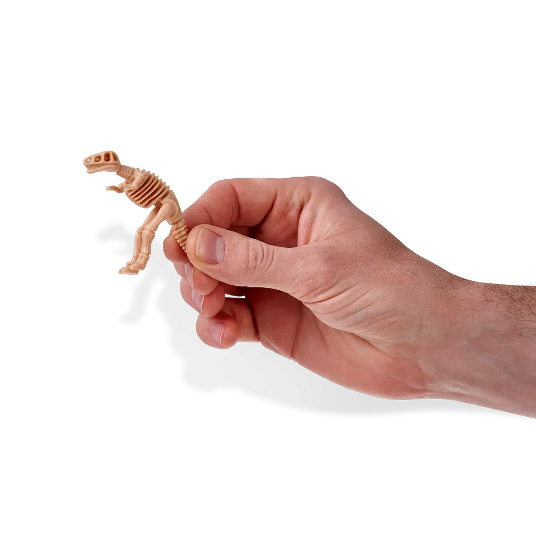 Dinosaur Fossils Toy Set