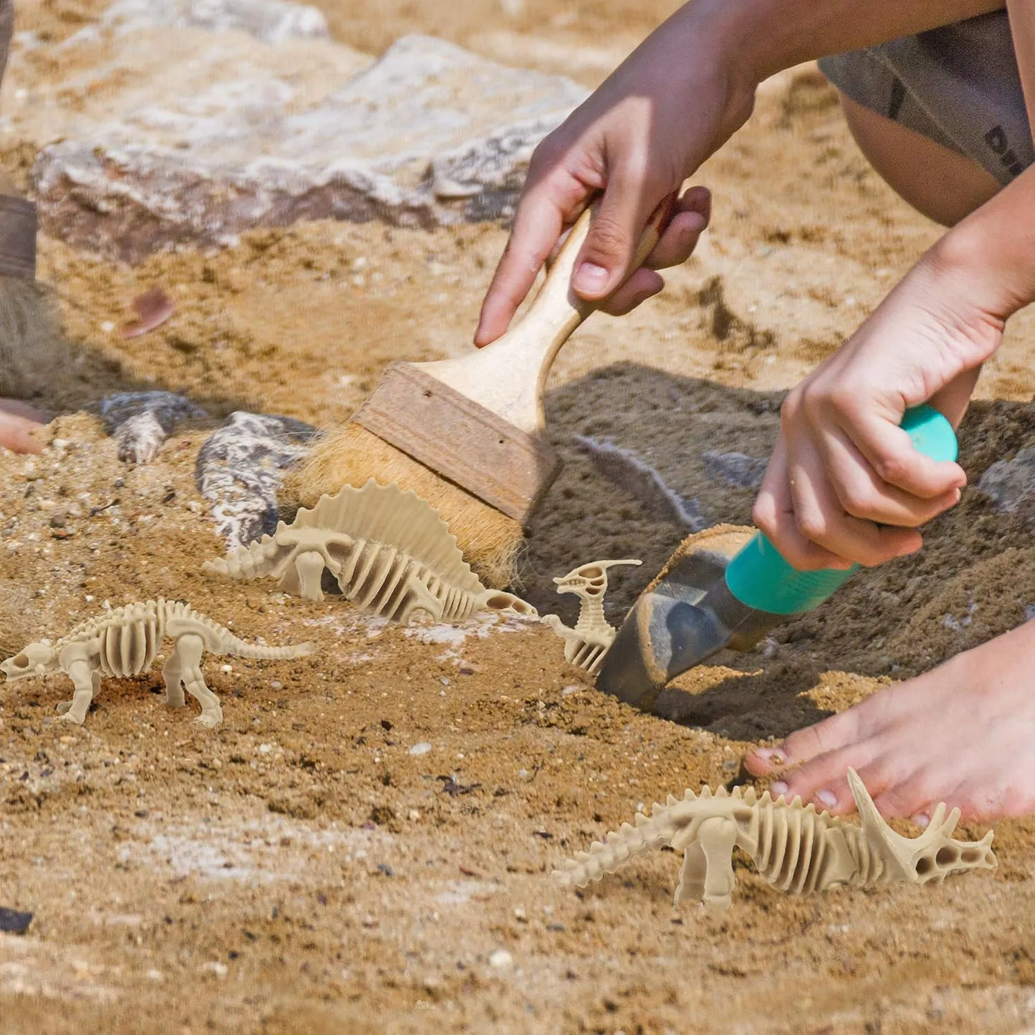 Dinosaur Fossils Toy Set