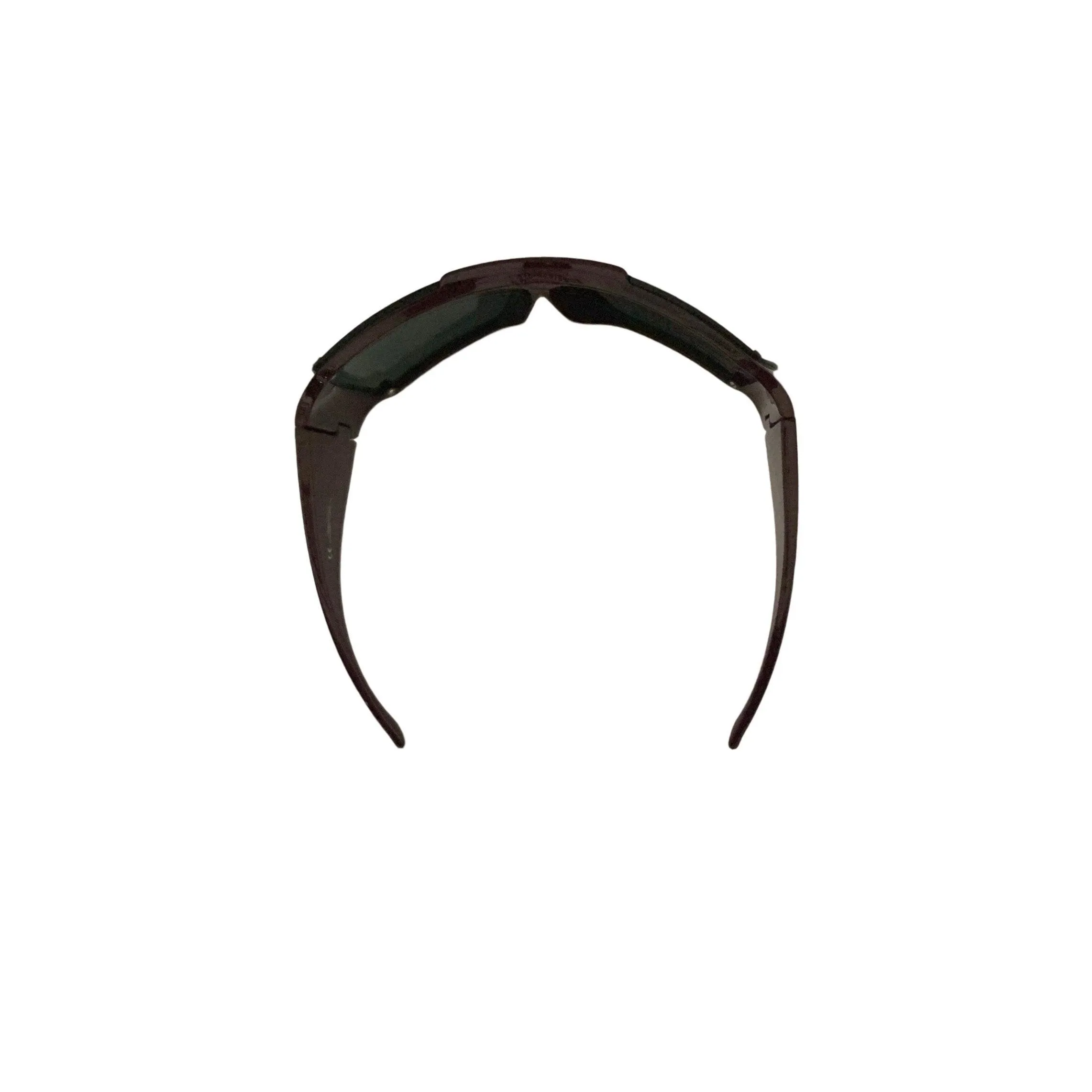 Dior Plum Logo Oversized Sunglasses