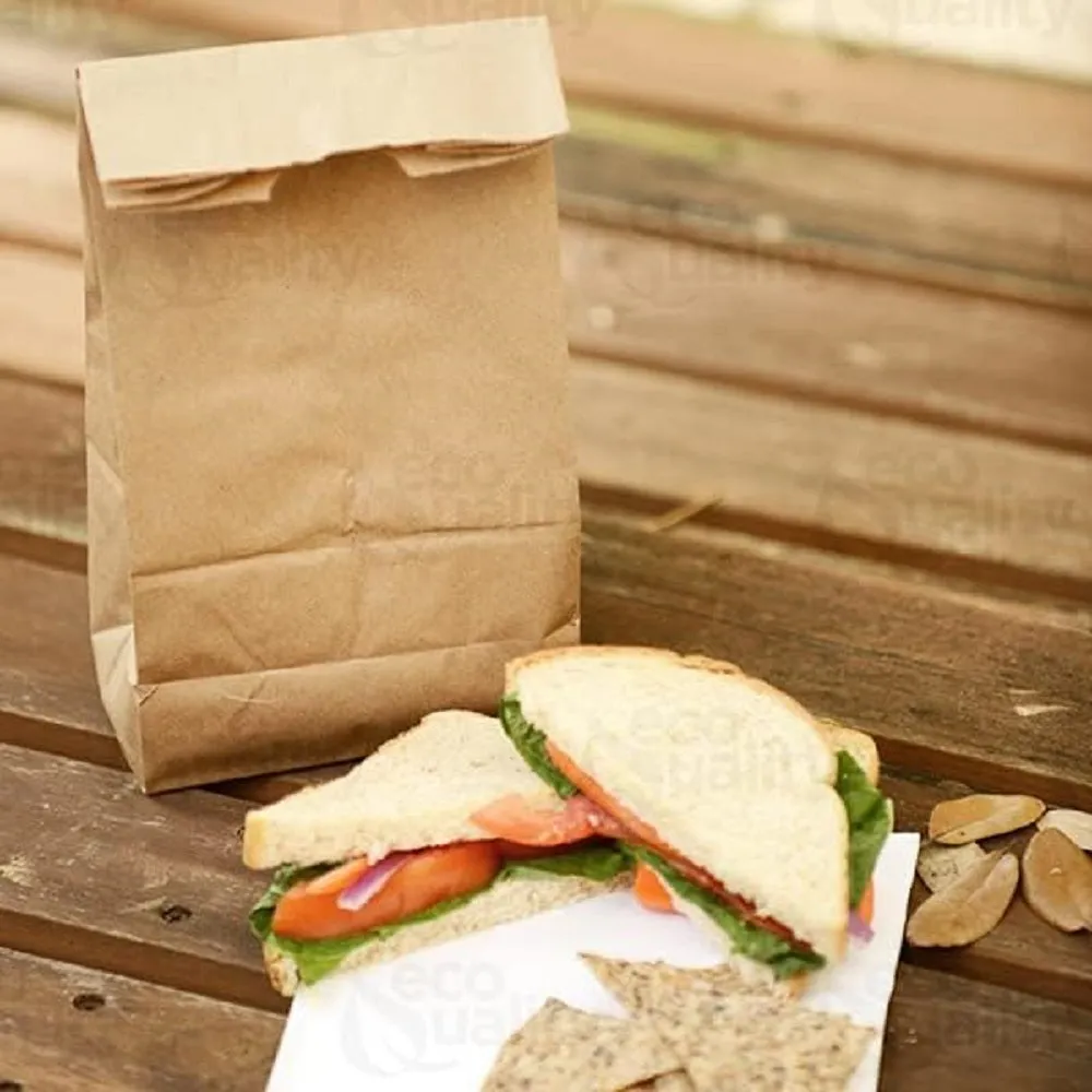 Eco Quality Brown Kraft Paper Bag (3 lb), Small, 500 Ct, Paper Lunch Bags
