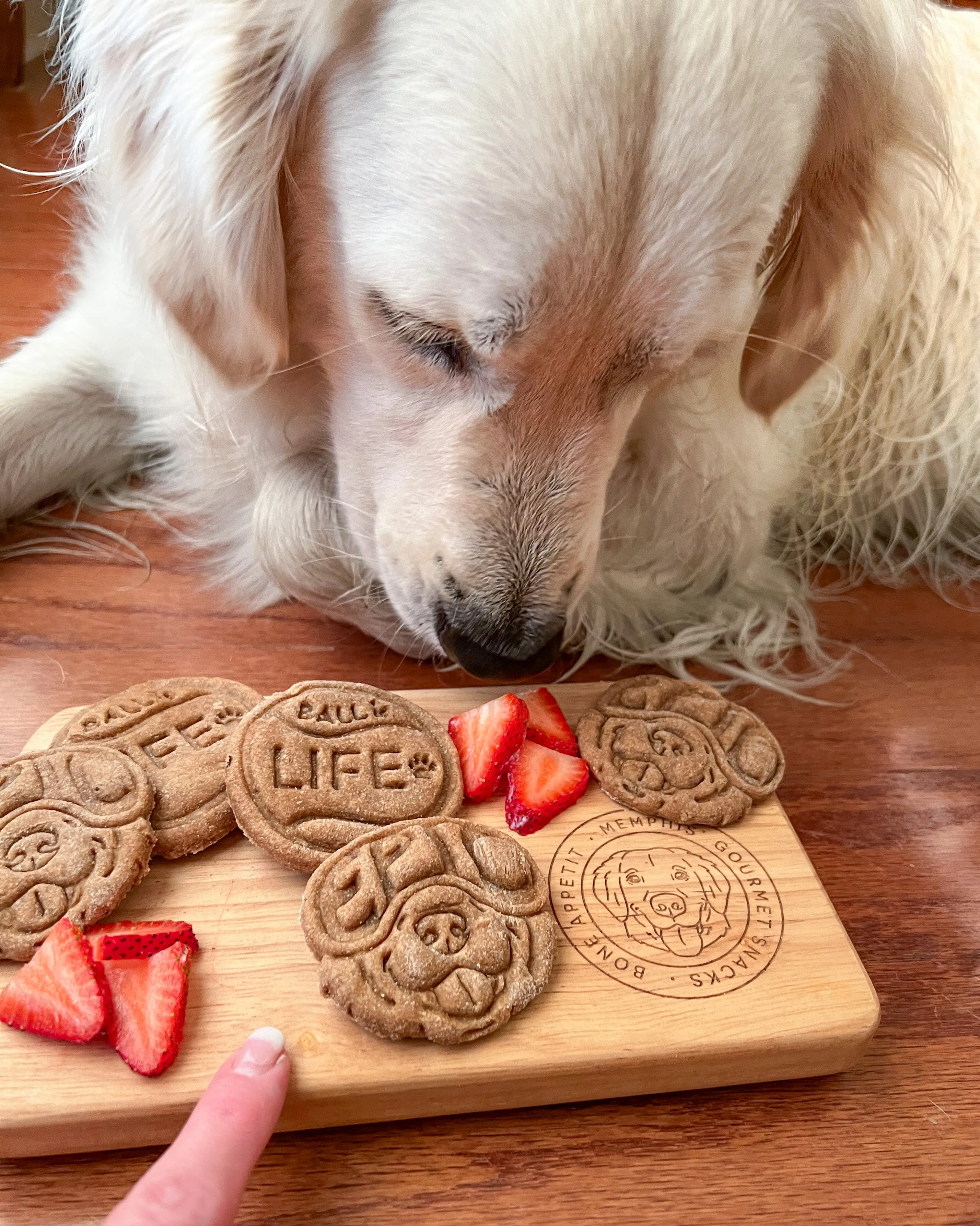 EPIC Adventure Dog with Goggles - Dog Face Cookie Cutter