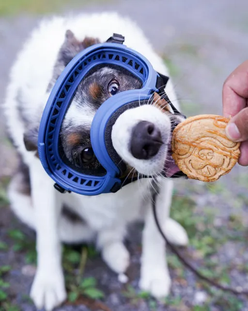 EPIC Adventure Dog with Goggles - Dog Face Cookie Cutter