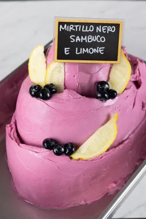 Leagel – Complete Mix – Blueberry, Elderberry, & Lemon
