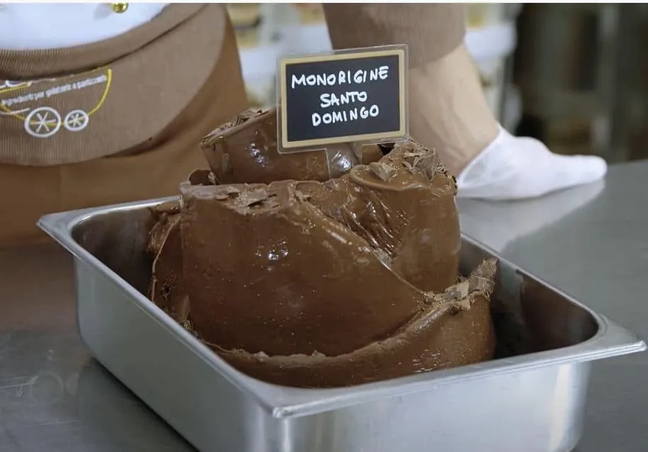 Leagel – Complete Mix – Santo Domingo Single Origin Chocolate Sorbetto