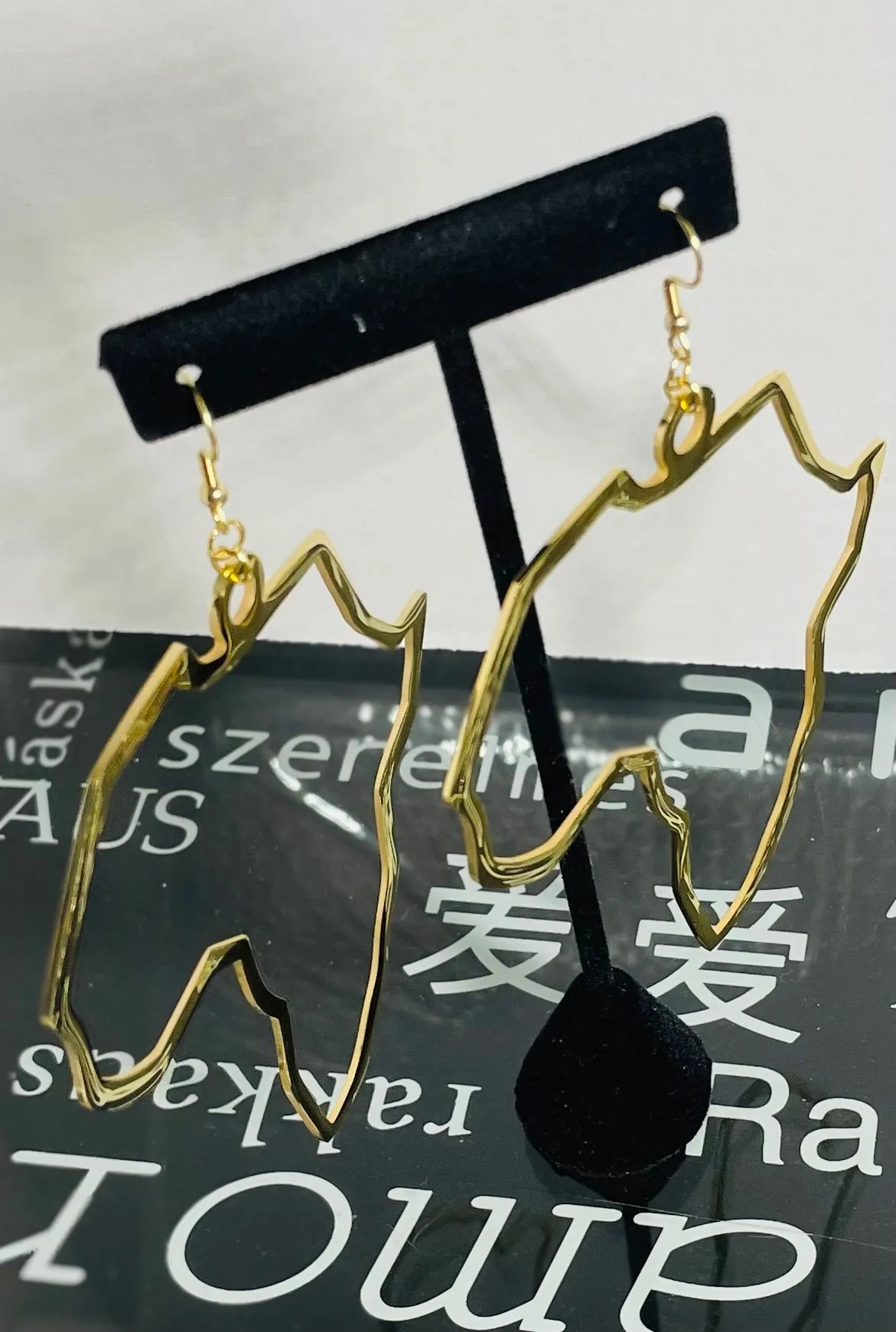 “Loud and Clear” Earrings in Multiple Colors