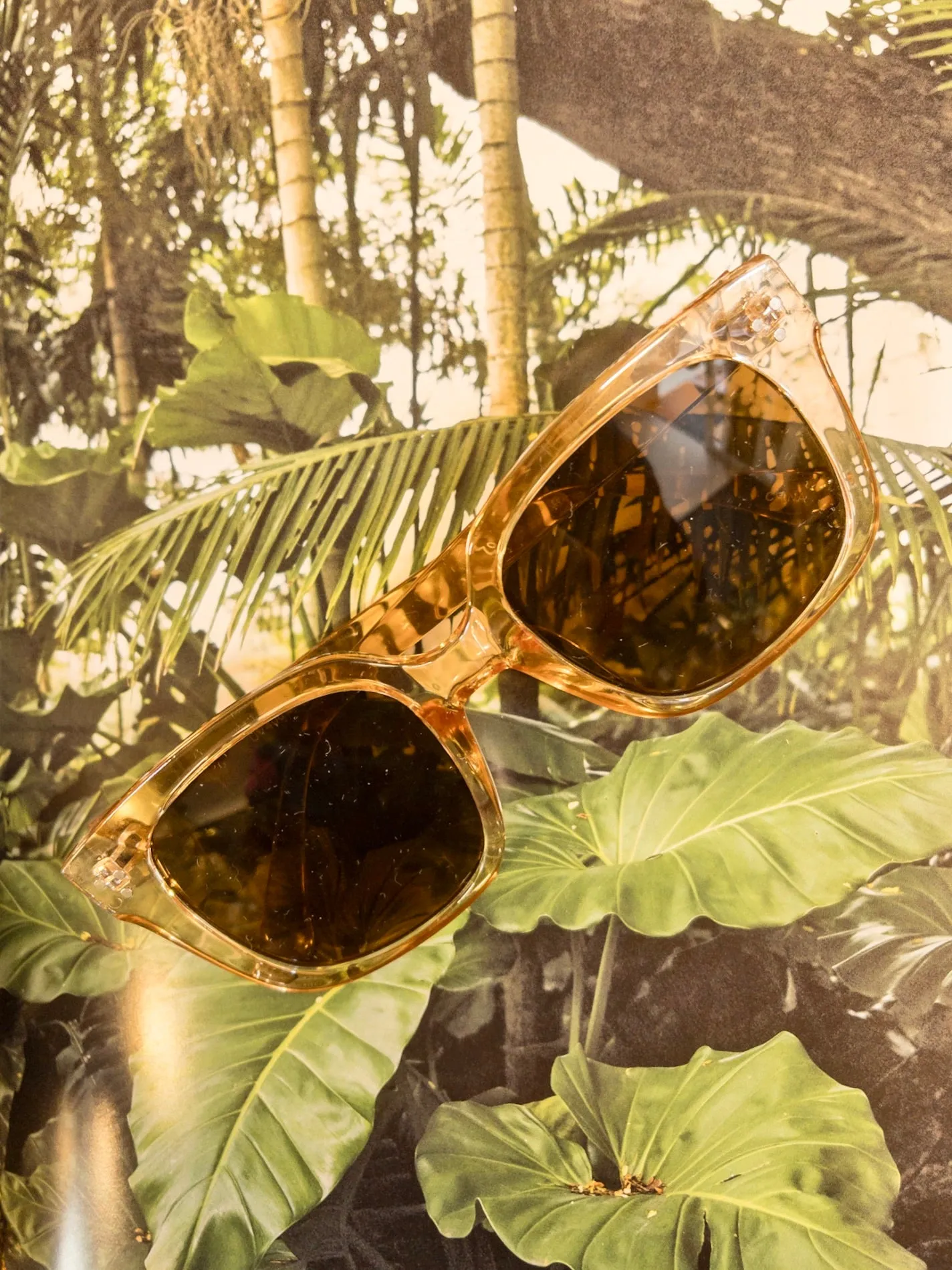 Mercedes Sunnies