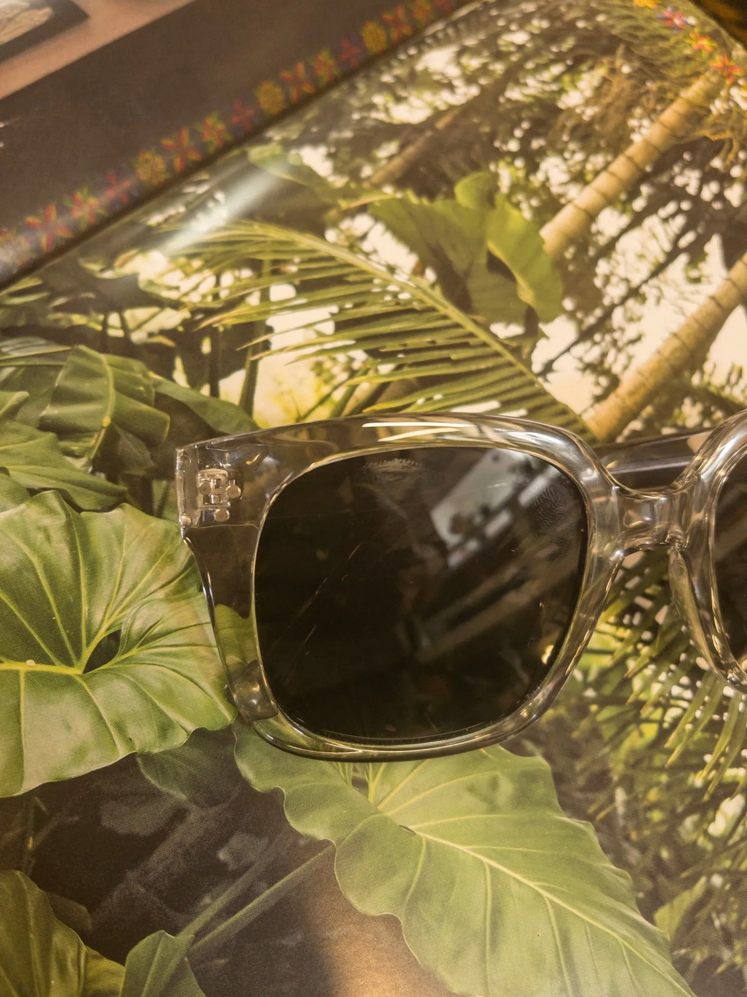 Mercedes Sunnies
