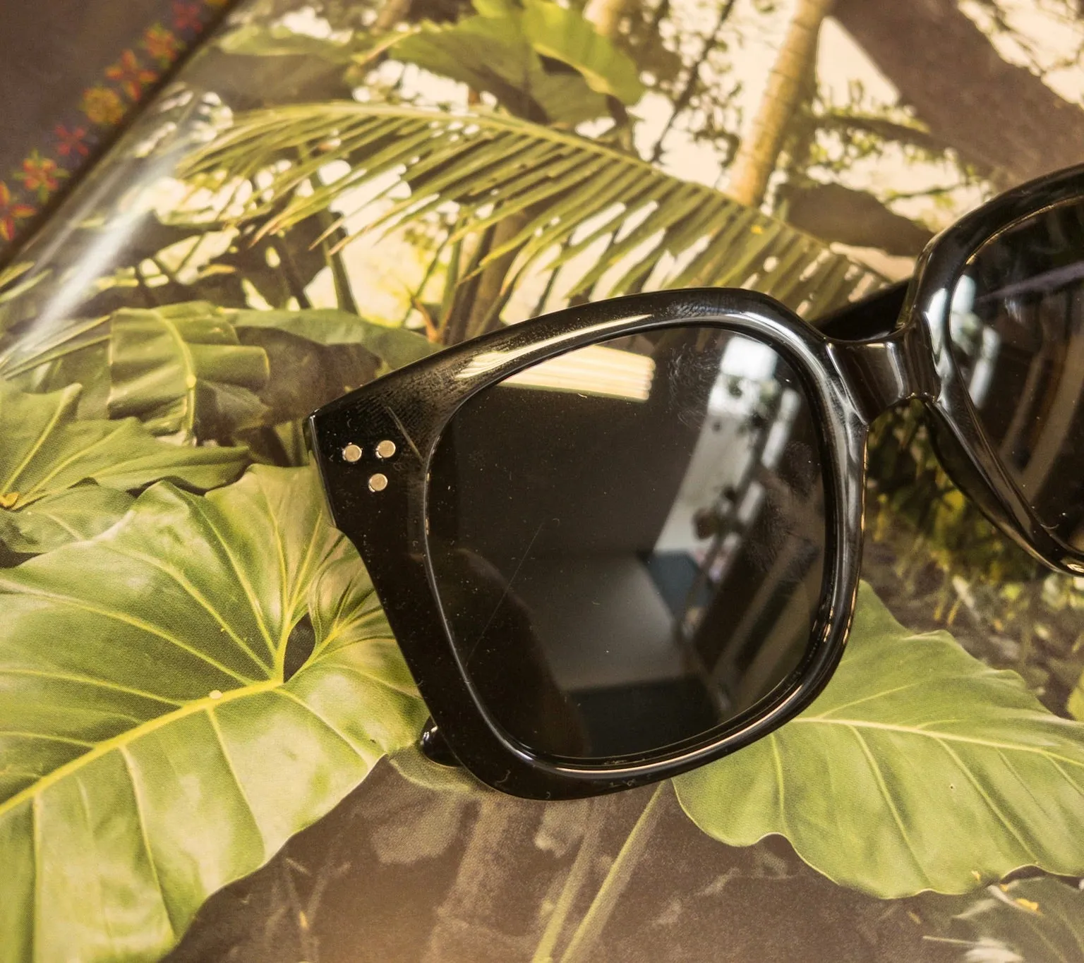 Mercedes Sunnies