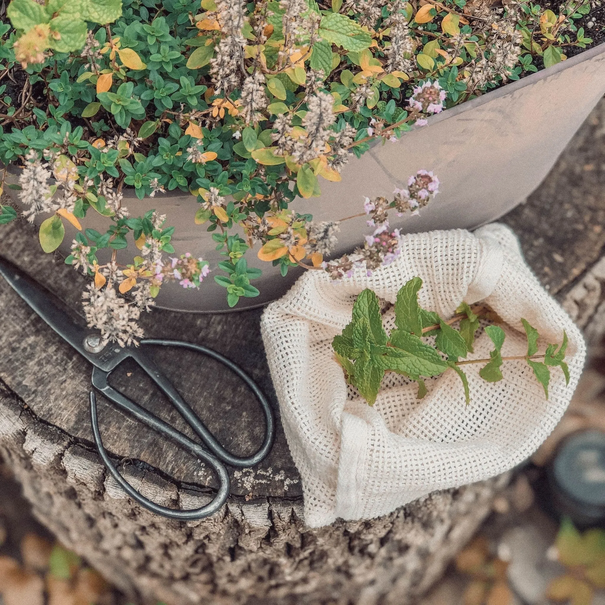Mesh Eco Bags