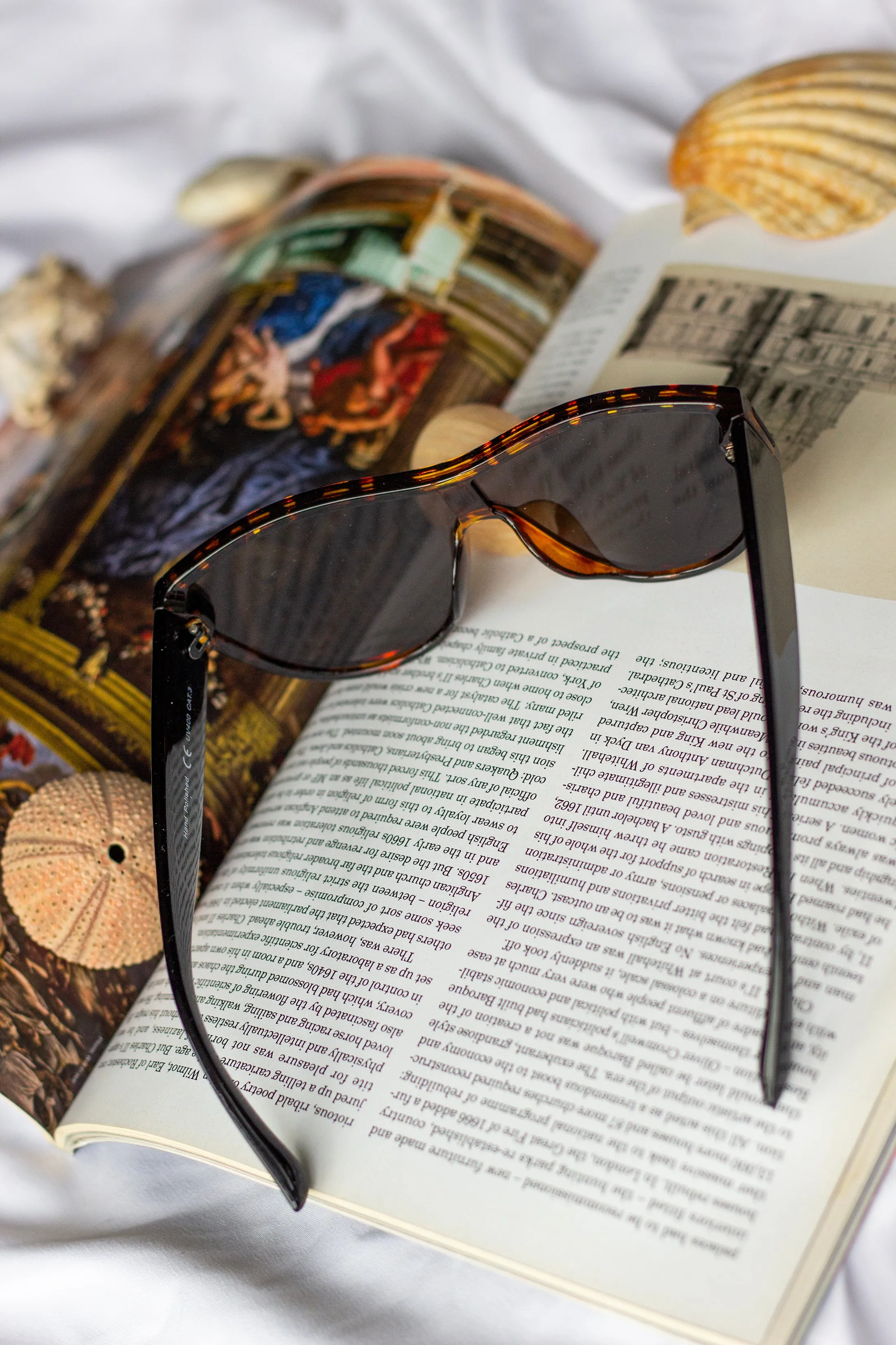 Mono Lens Oversize Sunglasses