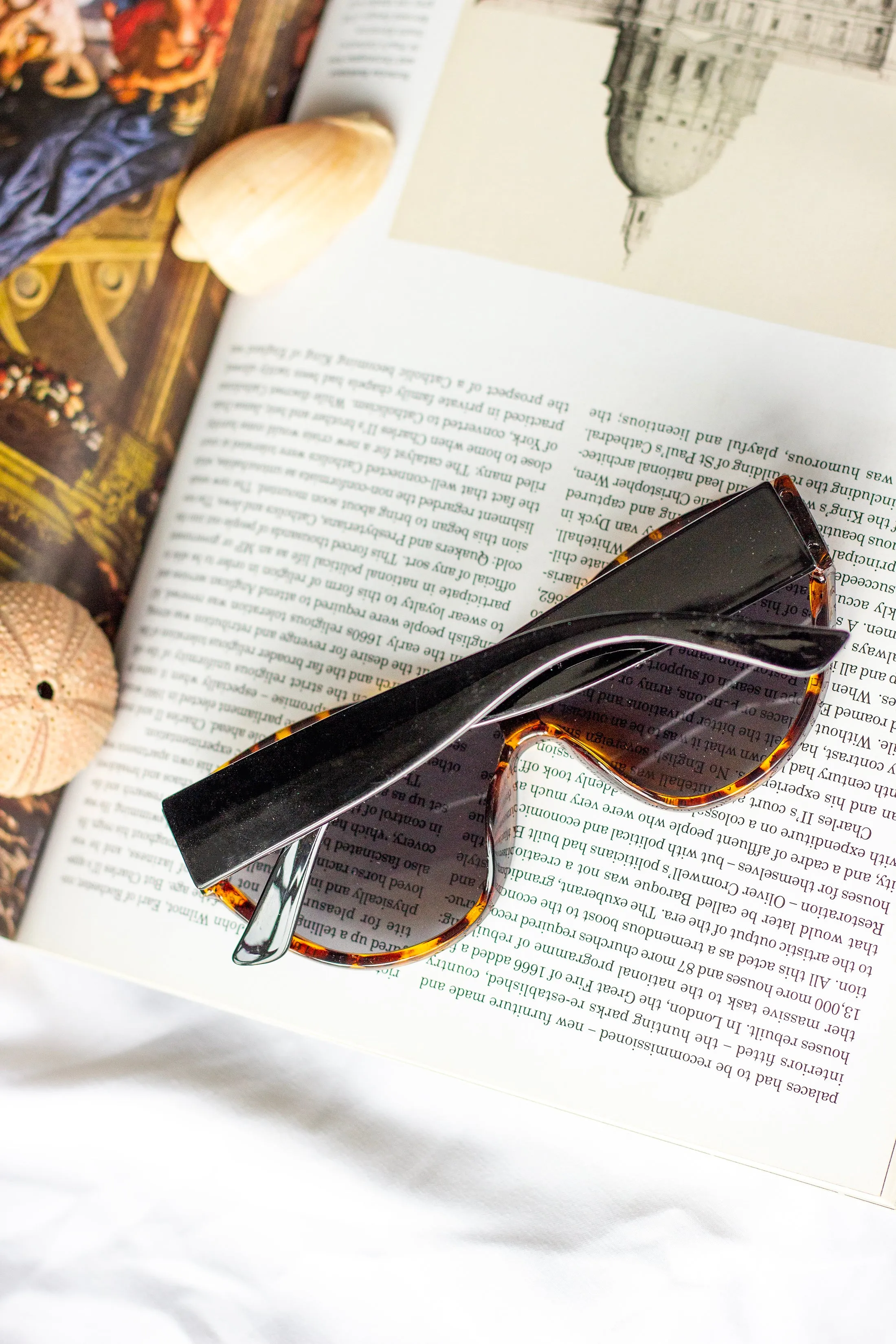 Mono Lens Oversize Sunglasses