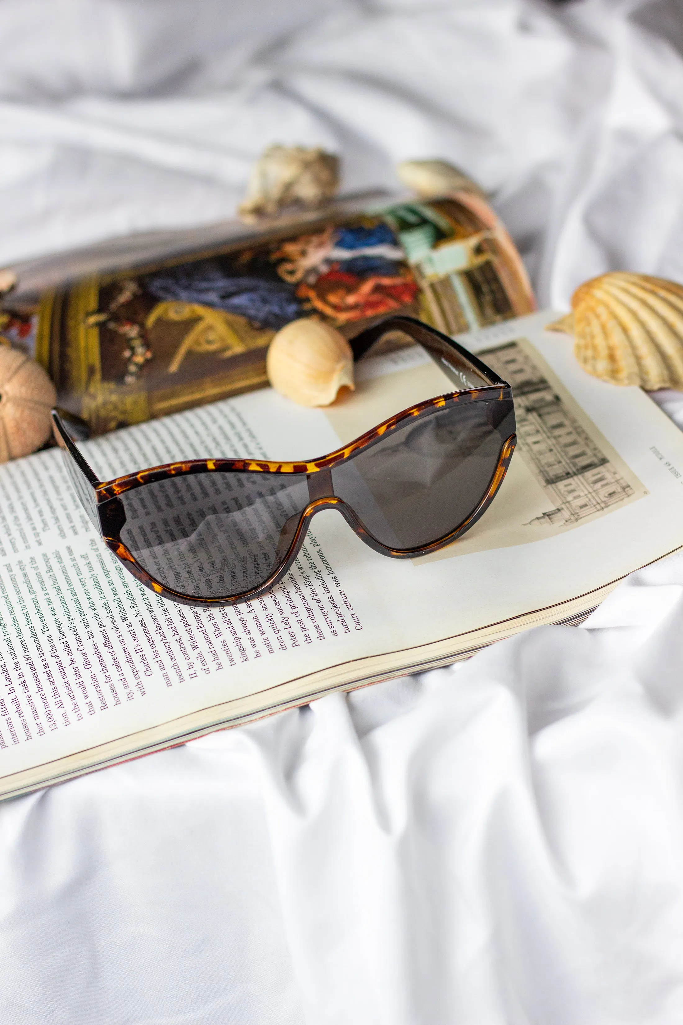 Mono Lens Oversize Sunglasses