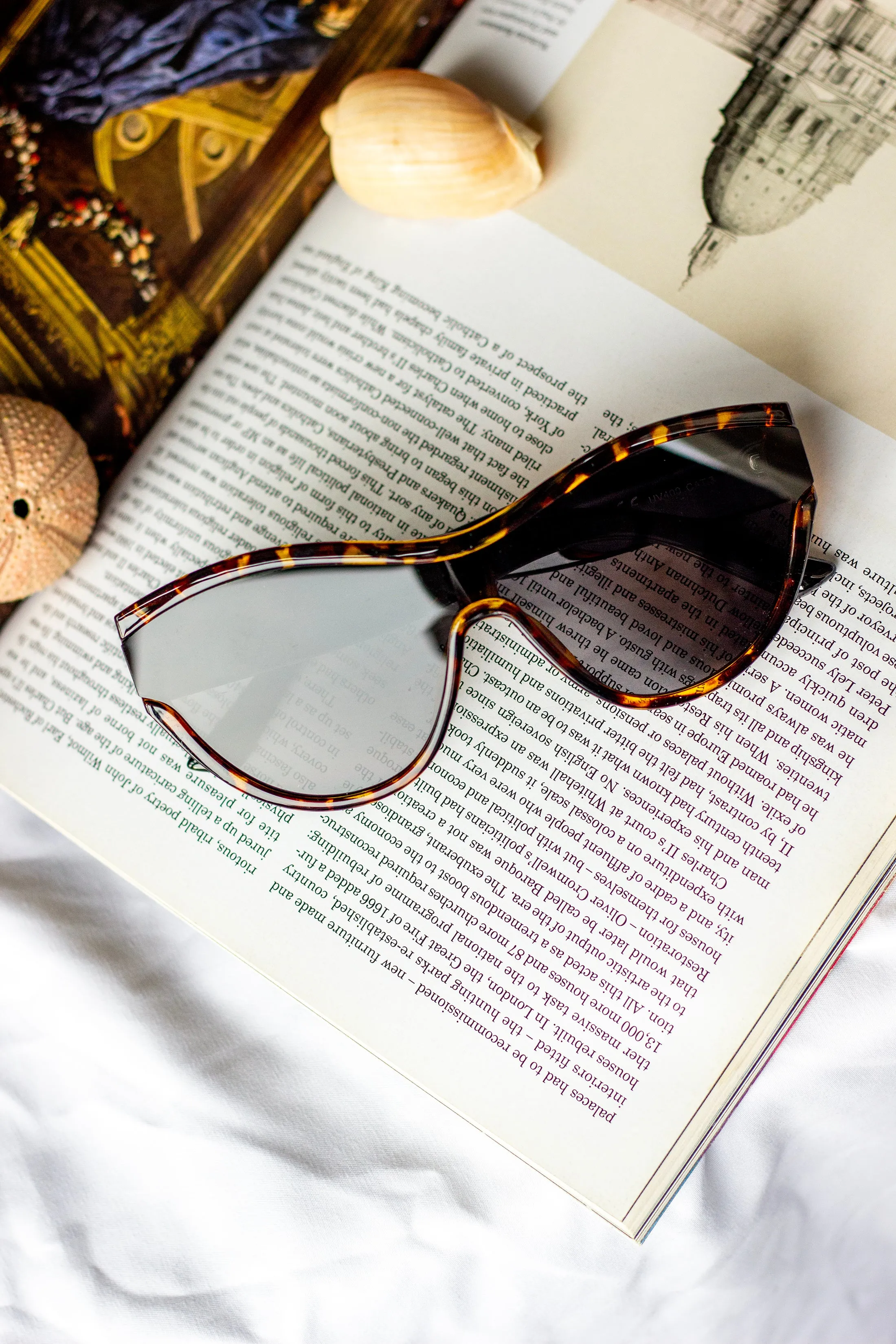 Mono Lens Oversize Sunglasses