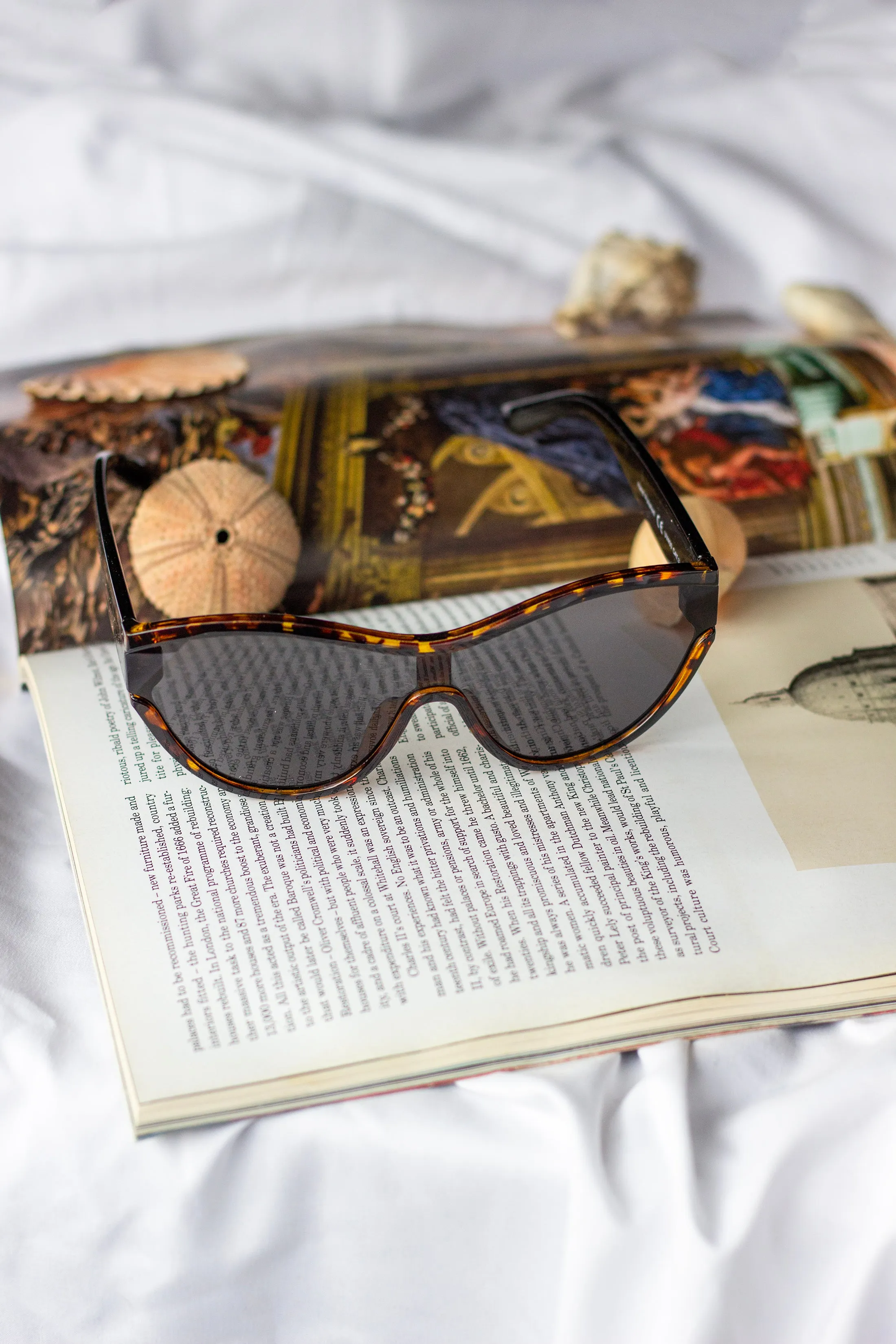 Mono Lens Oversize Sunglasses