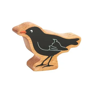Natural black bird