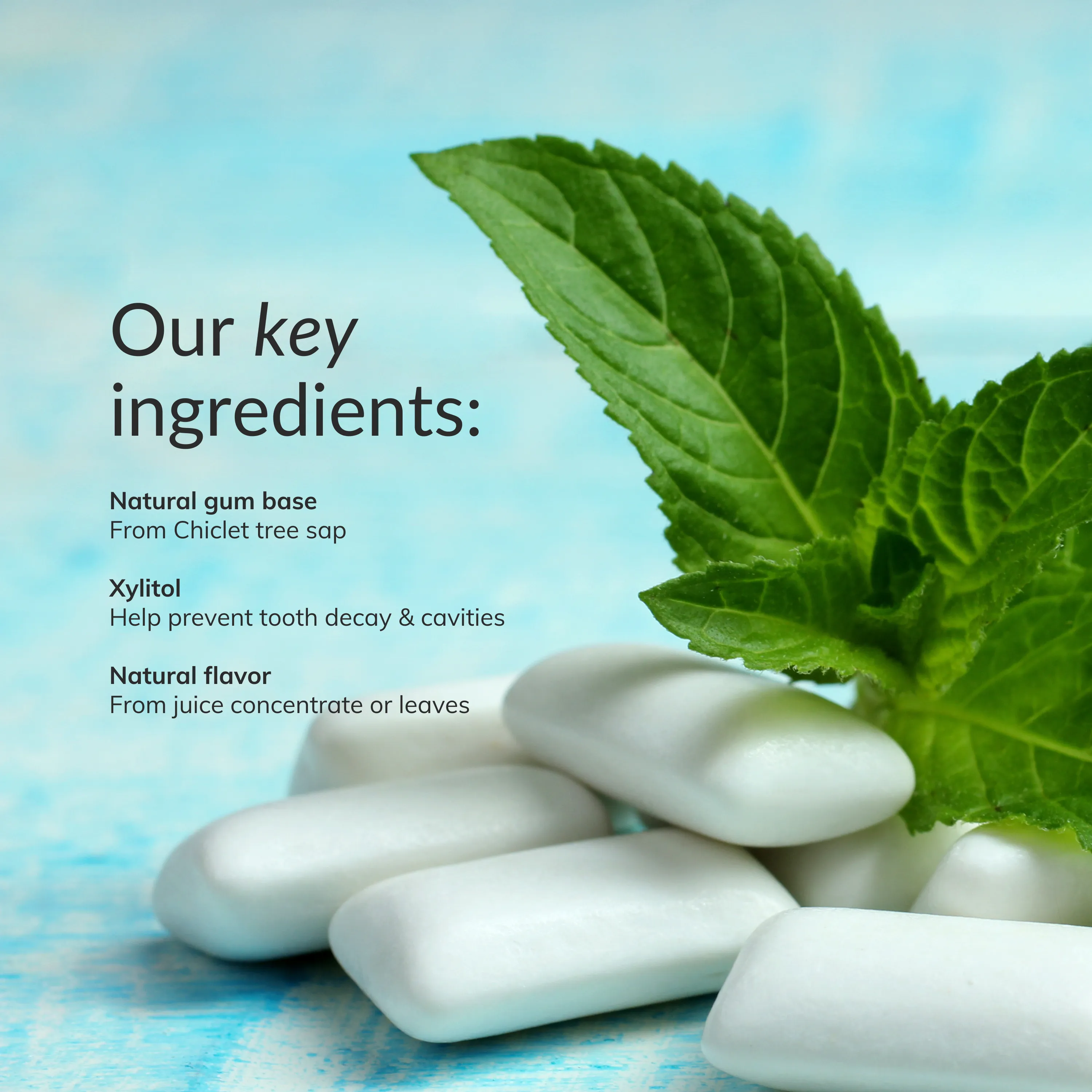 Natural Chewing Gum - Assorted Mint (84pcs)