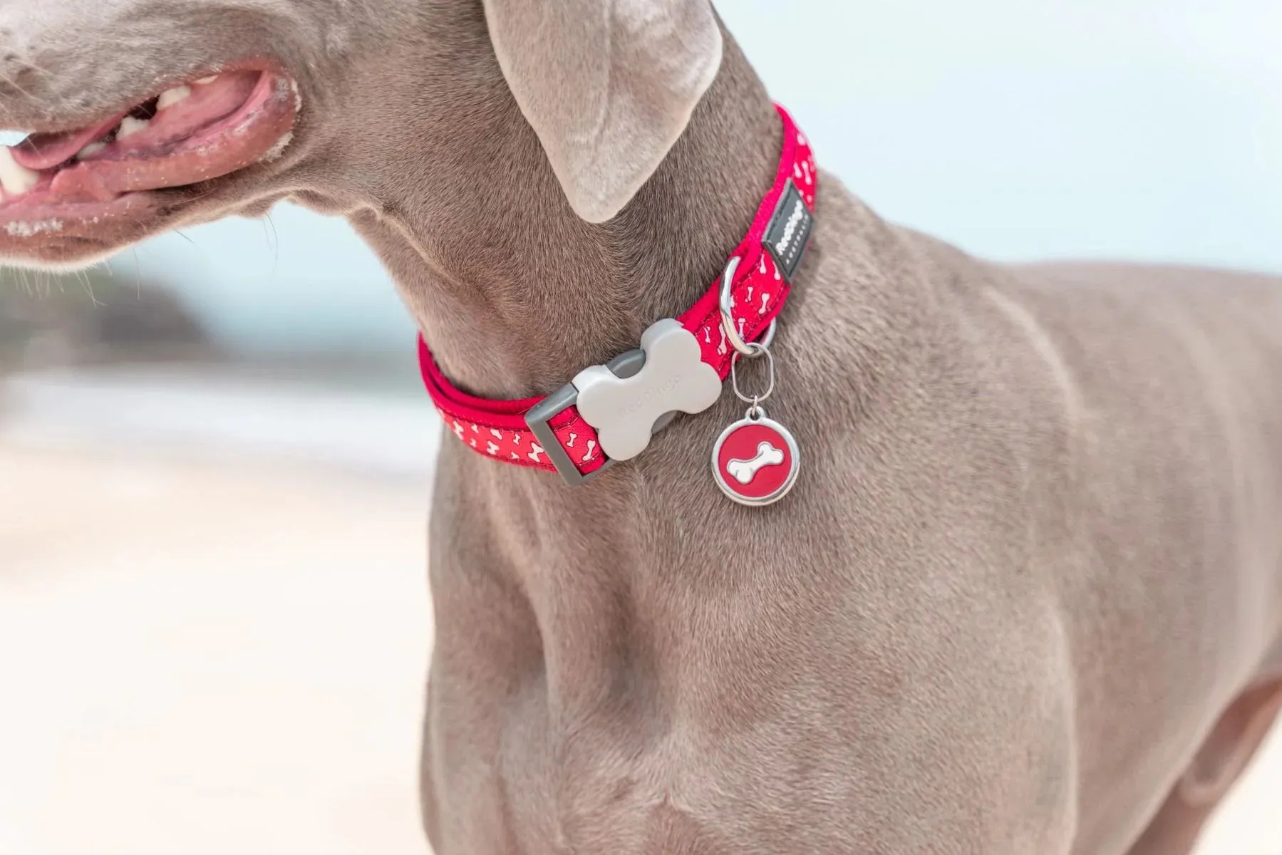 Red Dingo Tag Standard Styles - Enamel - All Styles