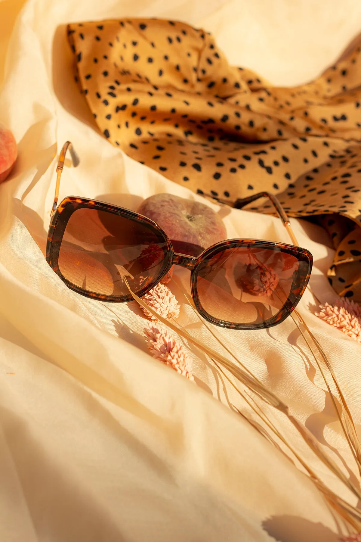 Rounded Square Sunglasses