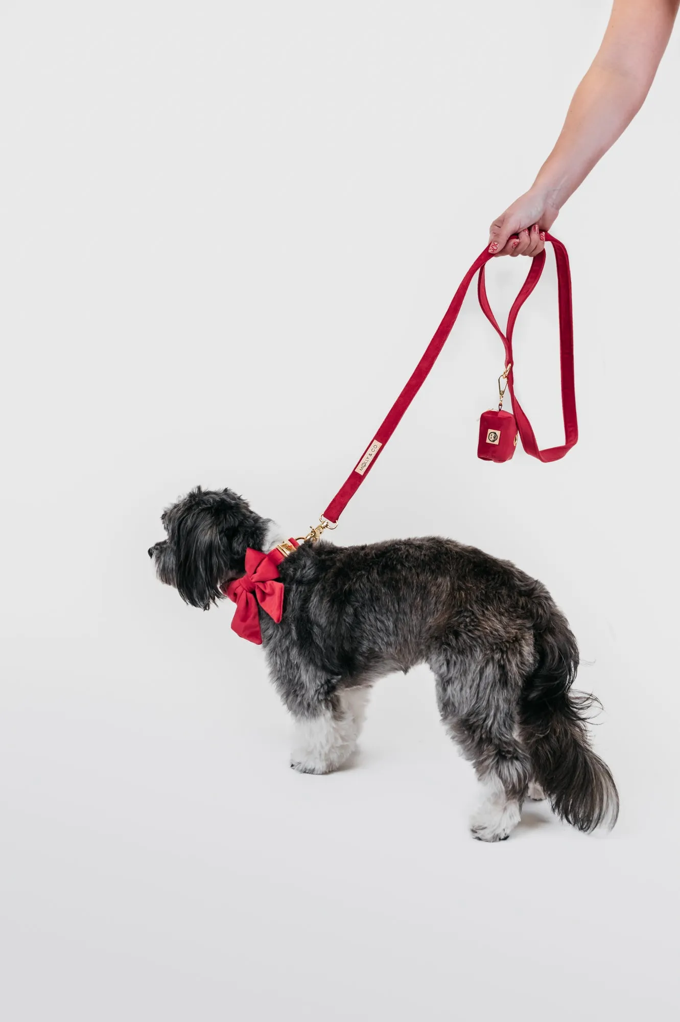 Scarlet Velvet - Dog Poop Bag Holder