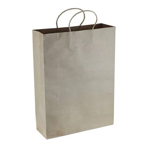 Stock Kraft Paper Shopping Bag(SKP-01D)