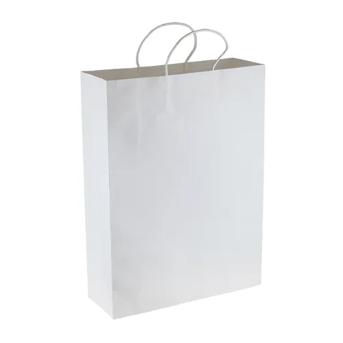 Stock Kraft Paper Shopping Bag(SKP-01D)