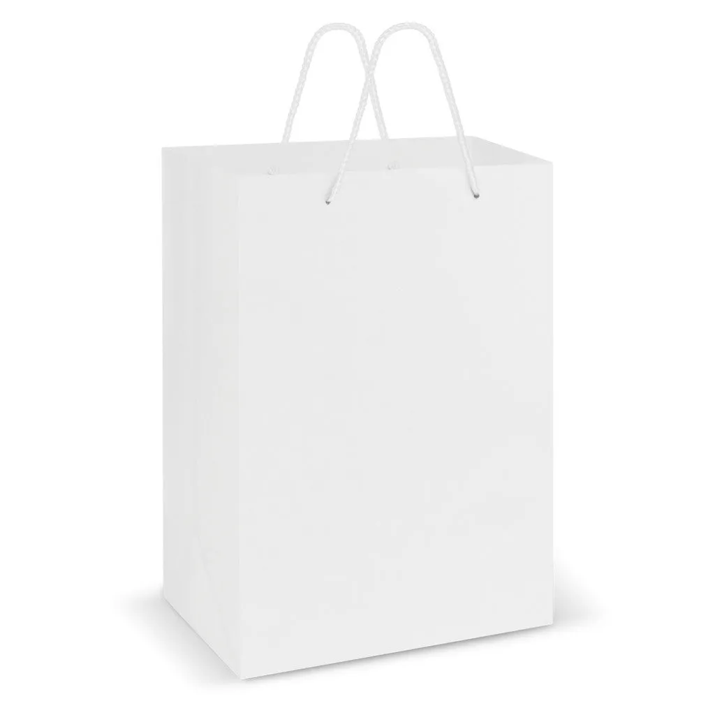 Stock Laminated Paper Carry Bag-Large(SLP-04T)