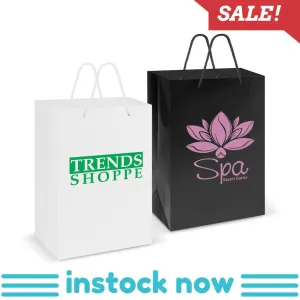 Stock Laminated Paper Carry Bag-Large(SLP-04T)