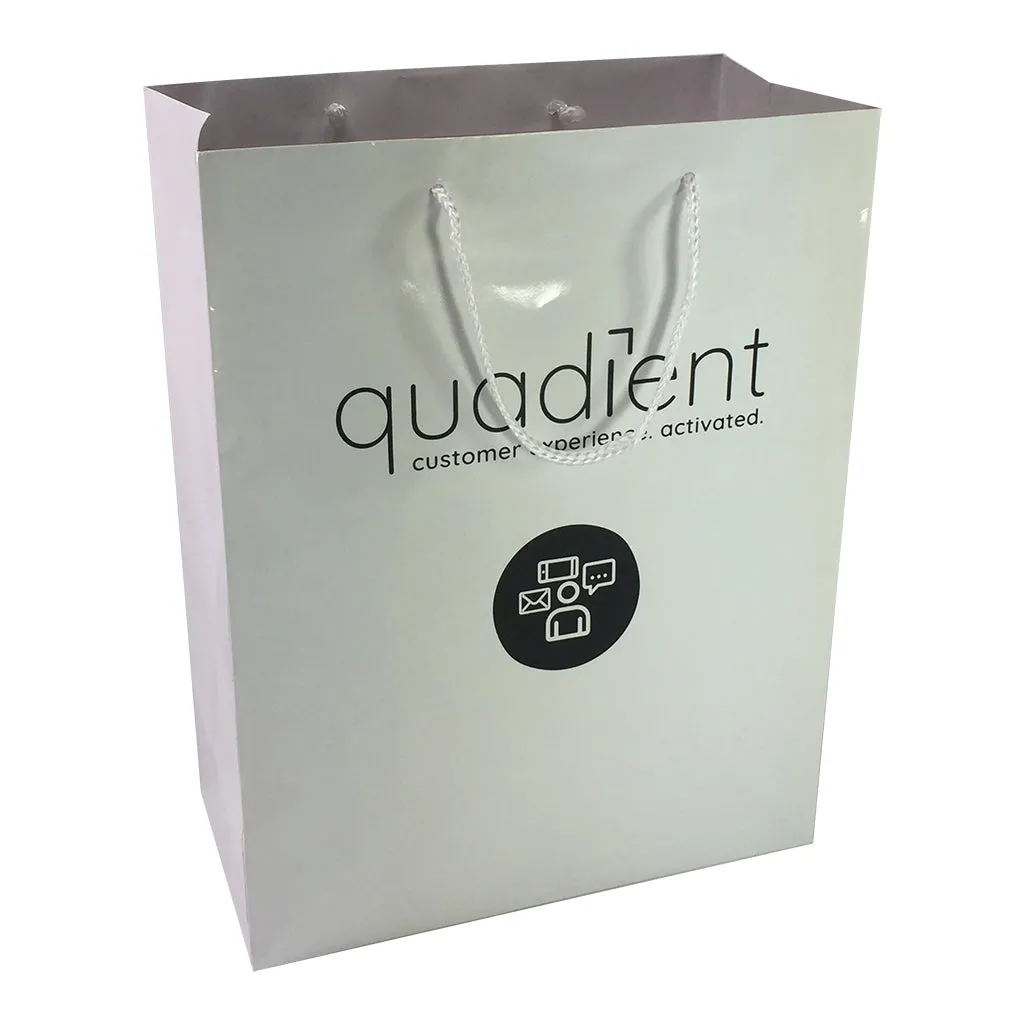 Stock Laminated Paper Carry Bag-Large(SLP-04T)