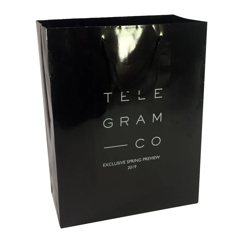 Stock Laminated Paper Carry Bag-Large(SLP-04T)