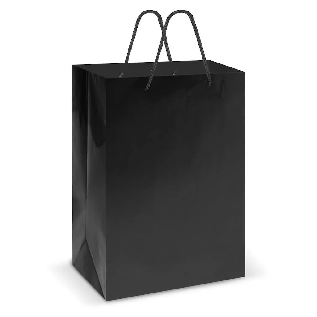 Stock Laminated Paper Carry Bag-Large(SLP-04T)