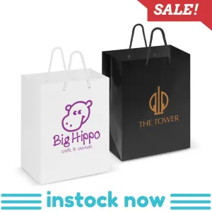 Stock Laminated Paper Carry Bag-Medium(SLP-03T)