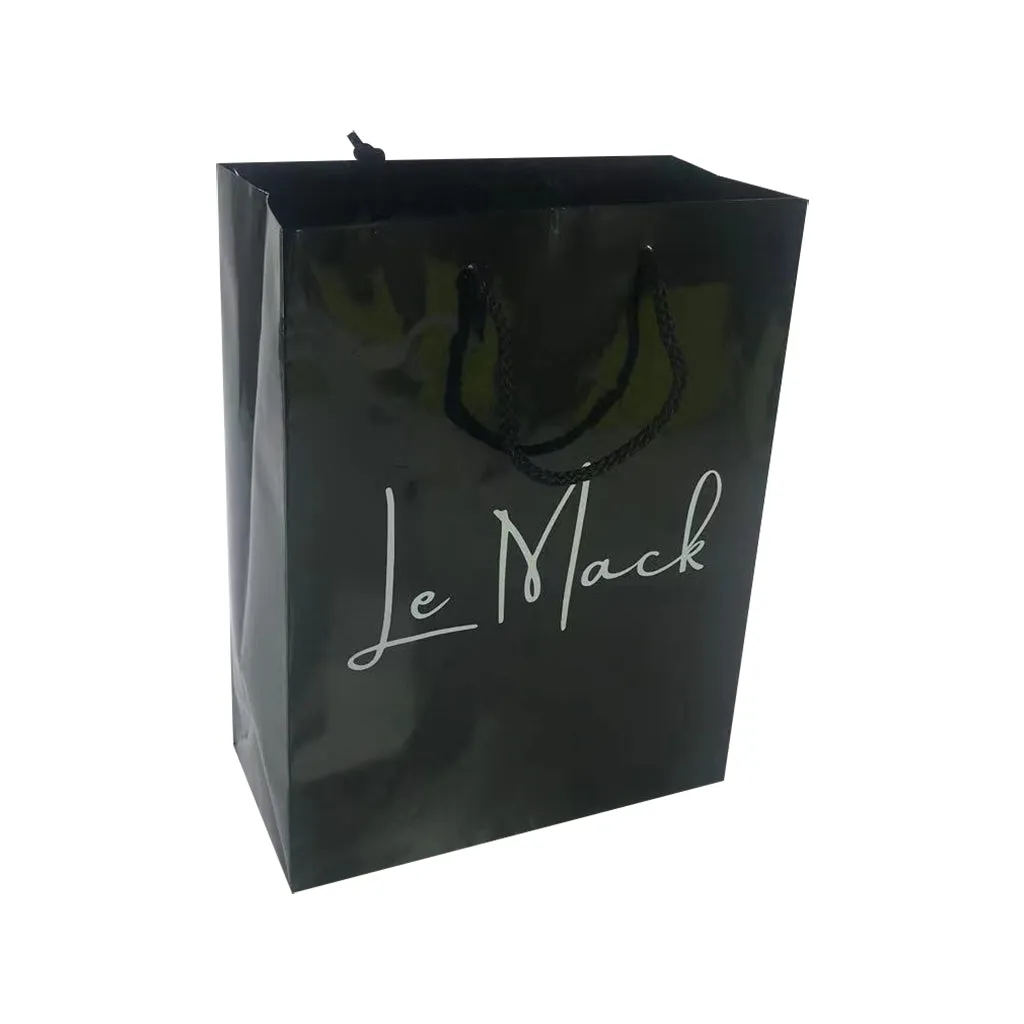 Stock Laminated Paper Carry Bag-Medium(SLP-03T)