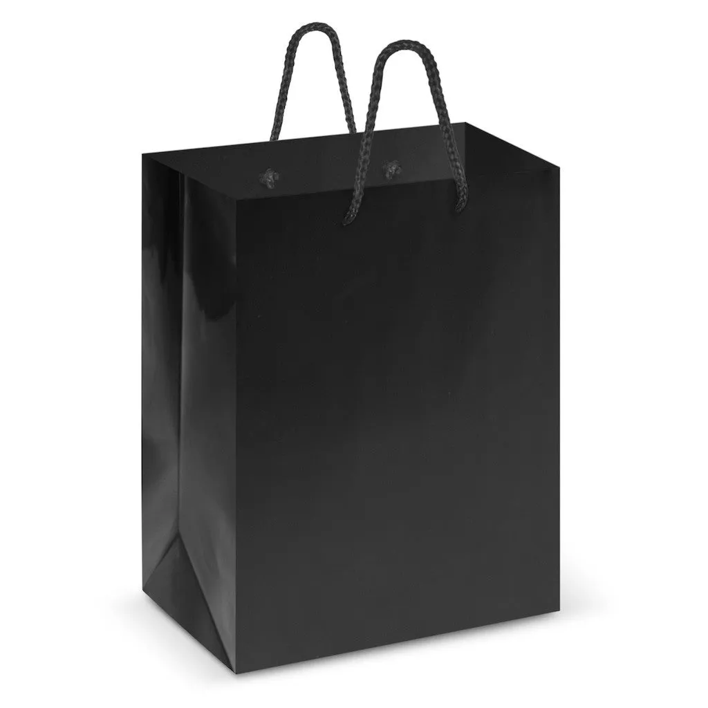 Stock Laminated Paper Carry Bag-Medium(SLP-03T)