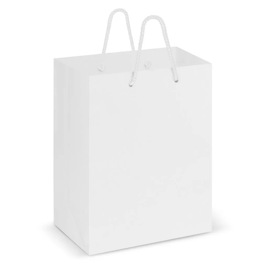 Stock Laminated Paper Carry Bag-Medium(SLP-03T)