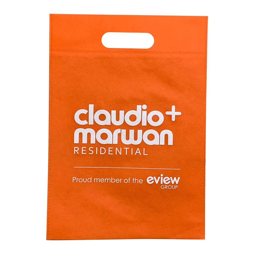 Stock NWPP Gift Bag-Meduim(SNB-43T)